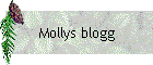 Mollys blogg